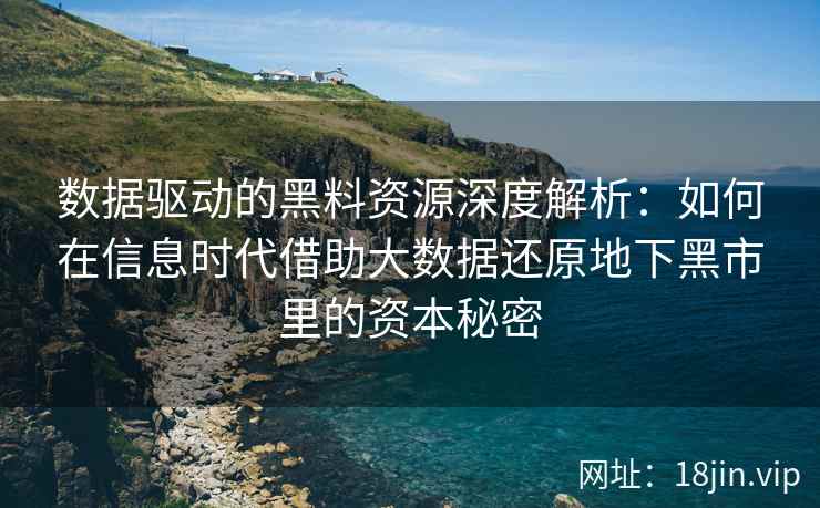 数据驱动的黑料资源深度解析：如何在信息时代借助大数据还原地下黑市里的资本秘密