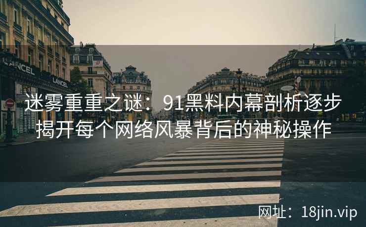 迷雾重重之谜：91黑料内幕剖析逐步揭开每个网络风暴背后的神秘操作