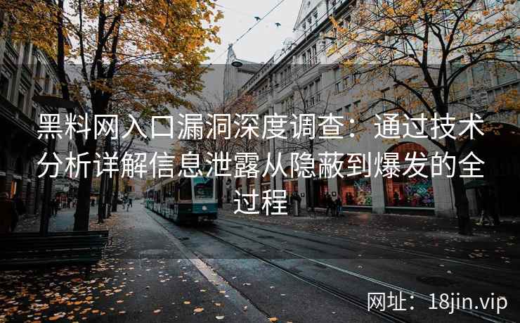 黑料网入口漏洞深度调查：通过技术分析详解信息泄露从隐蔽到爆发的全过程