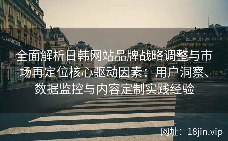 全面解析日韩网站品牌战略调整与市场再定位核心驱动因素：用户洞察、数据监控与内容定制实践经验
