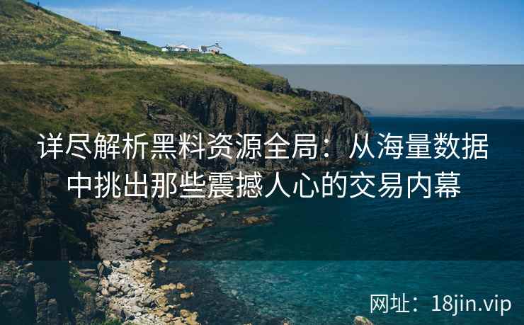 详尽解析黑料资源全局：从海量数据中挑出那些震撼人心的交易内幕